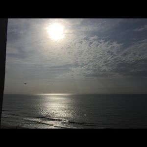 Meet your Posher, Season